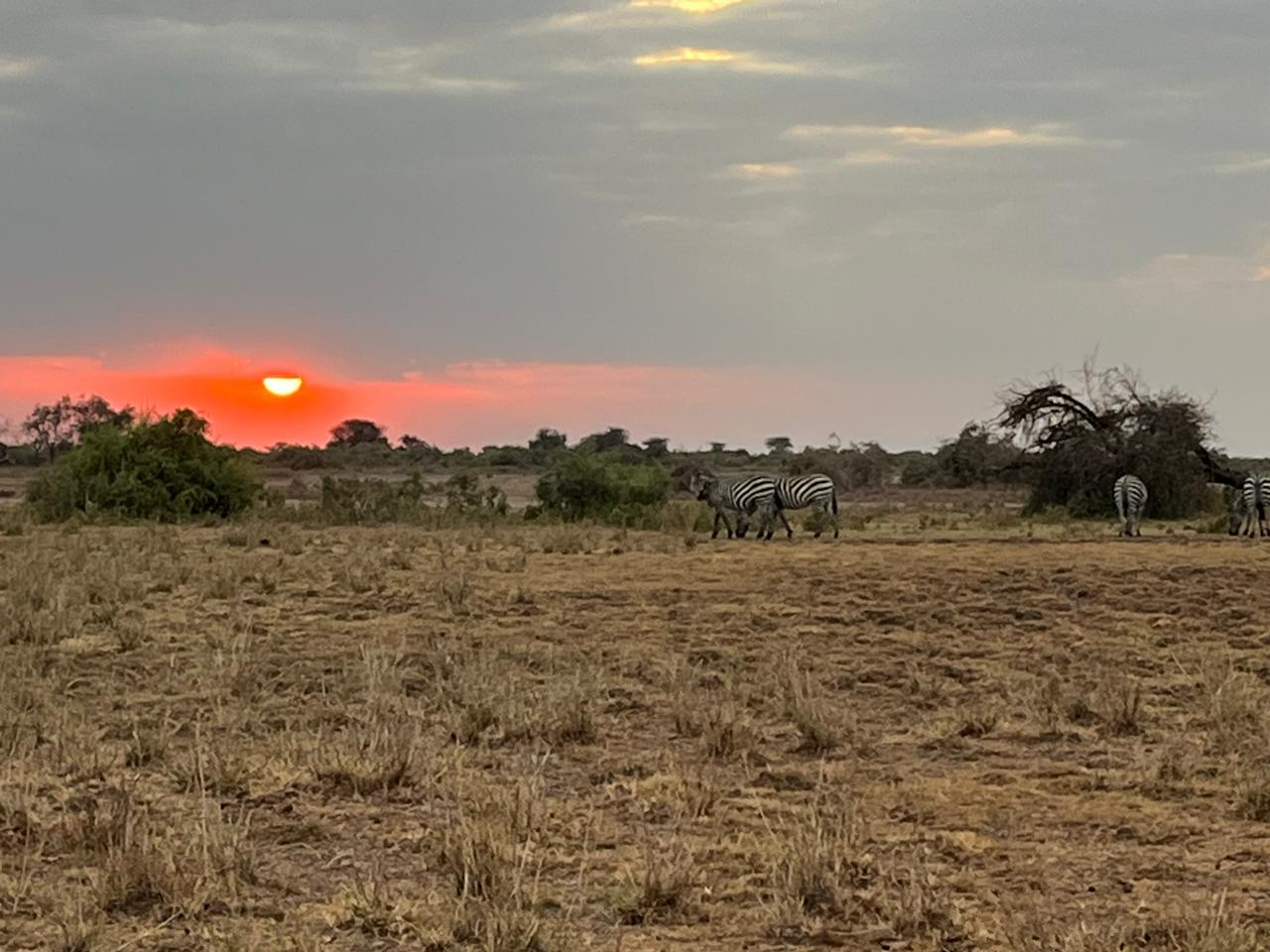 Amboseli Field Photography