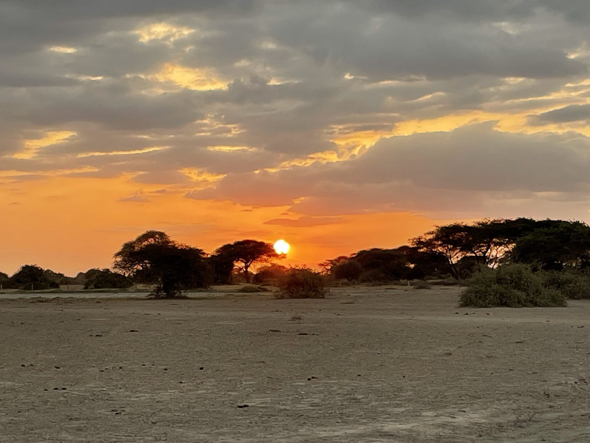 Amboseli Field Photography