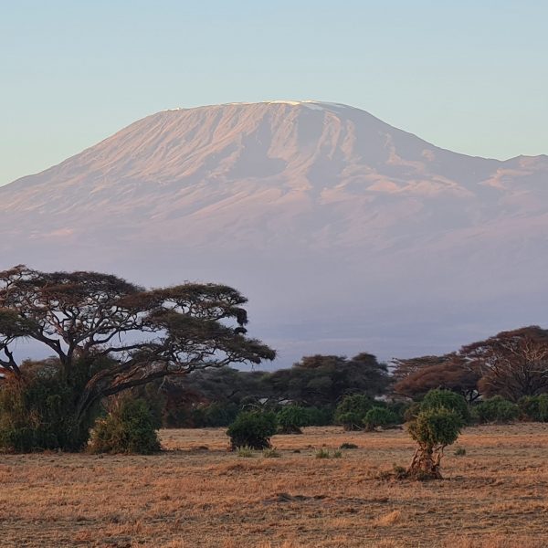 AET Amboseli Ecosystem Trust